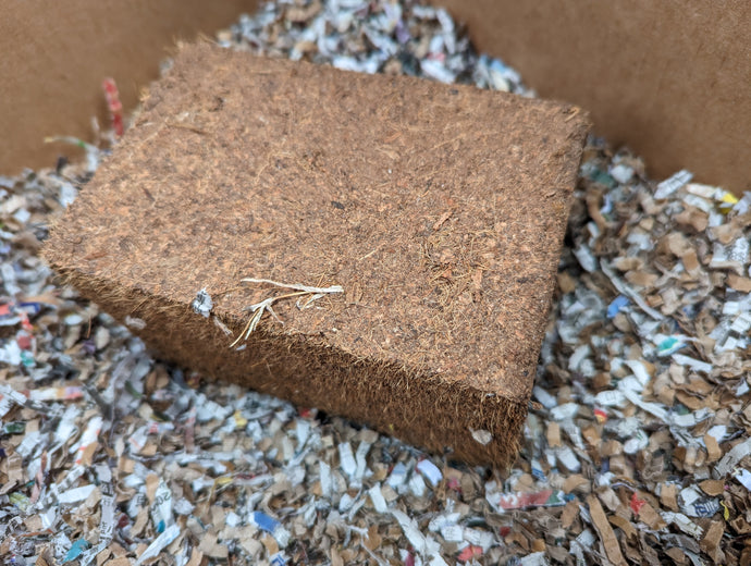 Coco Coir Brick (650g)