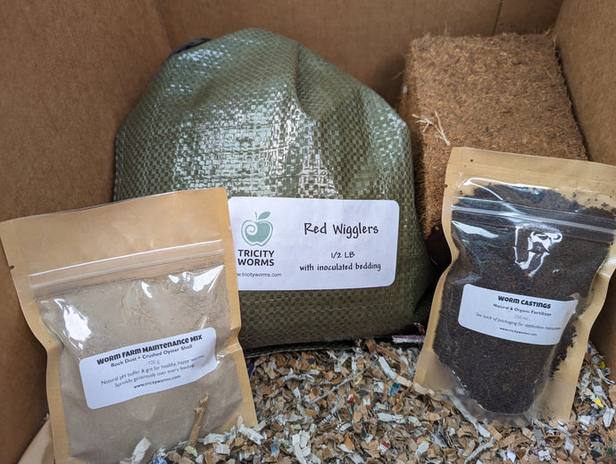 Vermicompost Starter Kit