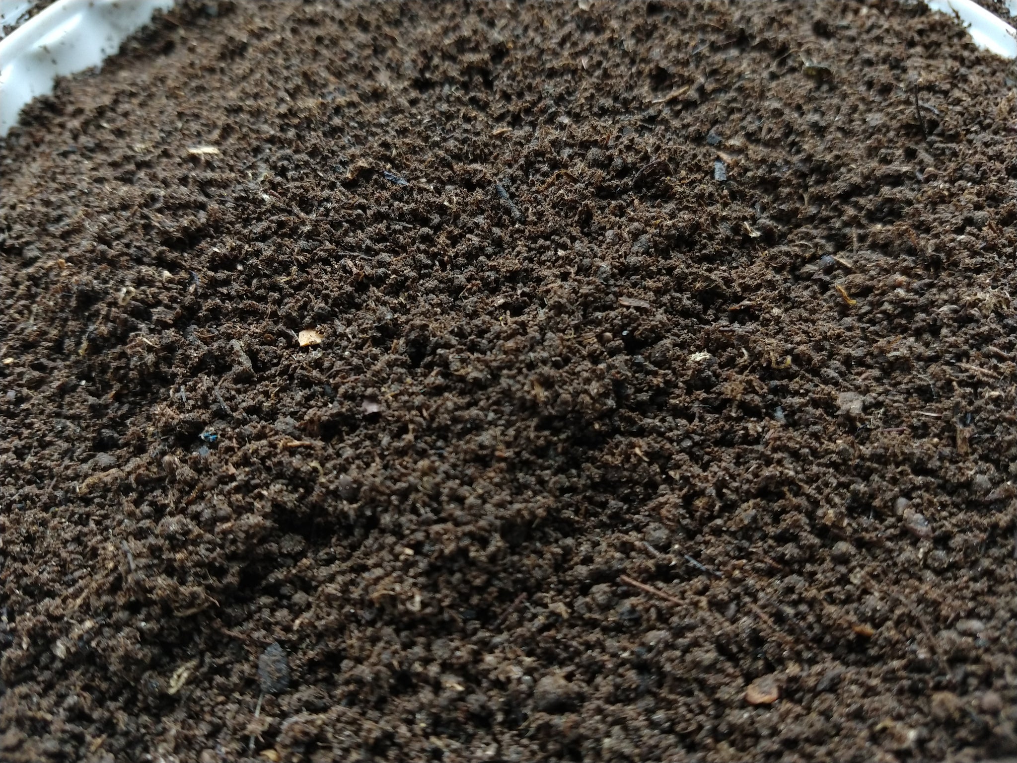 Worm sales casting fertilizer